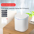 High-Capacity, High-Output Humidifier with 2L Water Tank